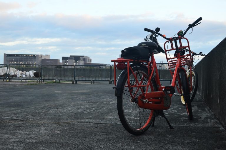 Cargo Bike Racks for Everyday Errands, Weekend Trips, and Heavy Loads